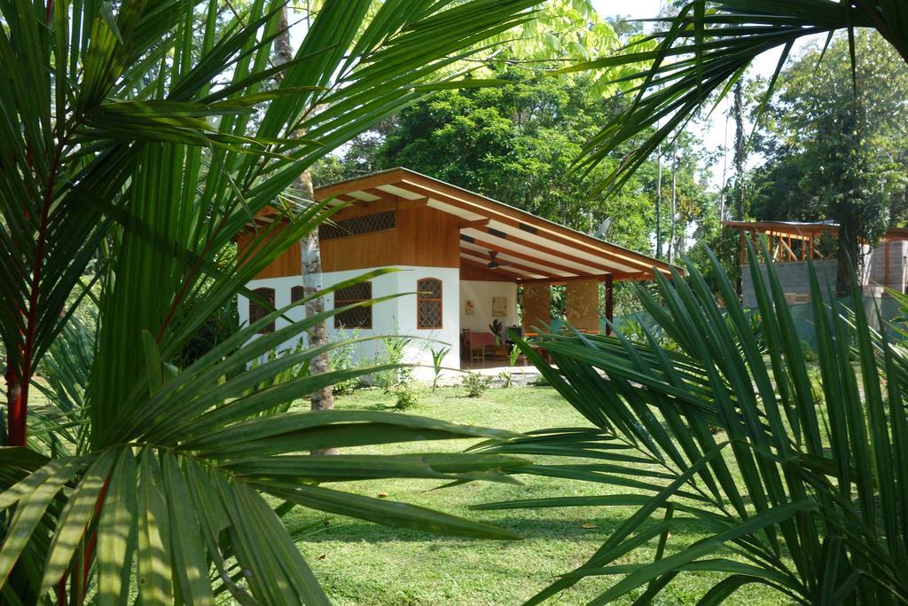 Los Delfines Lodge Puerto Viejo de Talamanca Kamer foto