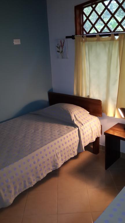 Los Delfines Lodge Puerto Viejo de Talamanca Kamer foto
