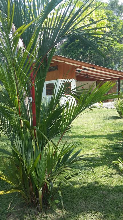 Los Delfines Lodge Puerto Viejo de Talamanca Kamer foto