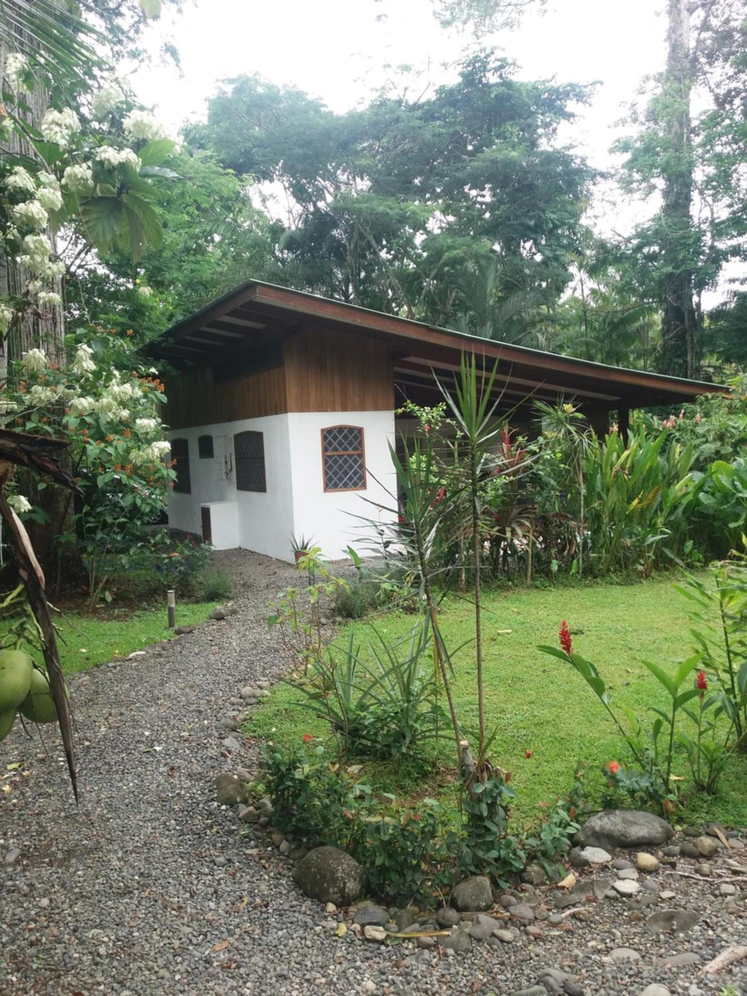 Los Delfines Lodge Puerto Viejo de Talamanca Buitenkant foto